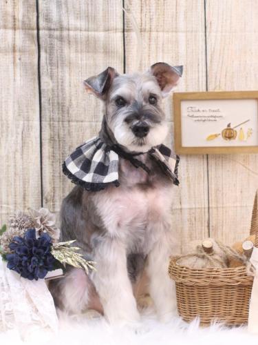 20241014小鉄くん